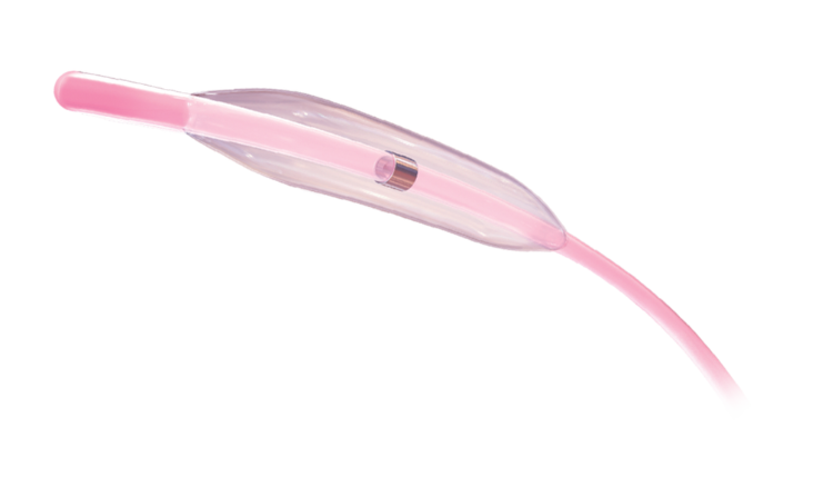 Kaneka IKAZUCHI ZERO Semi-Compliant PTCA Balloon